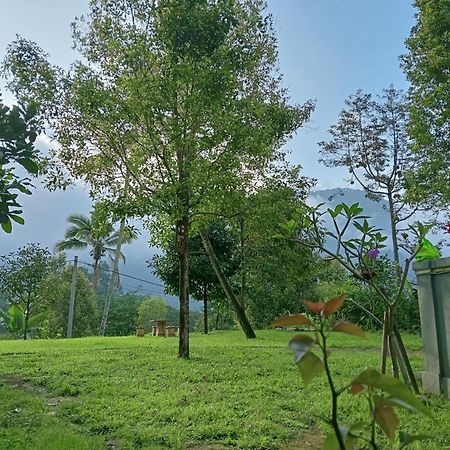Jepun Homestay Lemukih Singaraja Exterior foto